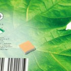 Украшение на скотче "Кленовый лист" зелёный, 18х18 см (комплект 10 шт) - фото 25276495