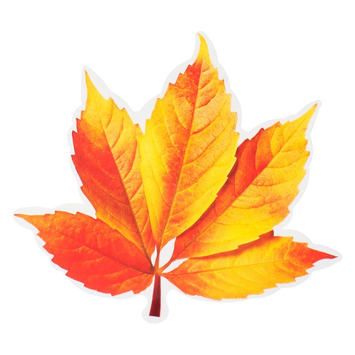 Украшение на скотче "Осенние листья" оранжевый, 18х18 см - Фото 1