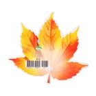 Украшение на скотче "Осенние листья" оранжевый, 18х18 см - Фото 2