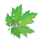 Украшение на скотче "Кленовый лист" зелёный, 18х18 см - Фото 2