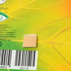 Украшение на скотче "Кленовый лист" зелёный, оранжевый, 18х18 см (комплект 10 шт) - фото 25276507