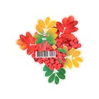 Украшение на скотче "Букет рябины" ягоды, 18х18 см (комплект 10 шт) - фото 25276509