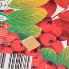 Украшение на скотче "Букет рябины" ягоды, 18х18 см (комплект 10 шт) - фото 25276510