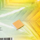 Украшение на скотче "Осенние листья" оранжевый, зелёный, 18х18 см (комплект 10 шт) - фото 25276516