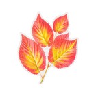 Украшение на скотче "Осенние листья" красный, жёлтый, 18х18 см - фото 319761957