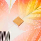 Украшение на скотче "Осенние листья" красный, жёлтый, 18х18 см (комплект 10 шт) - фото 25276522