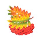 Украшение на скотче "Рябина" листья, ягоды, 18х18 см - фото 10793358