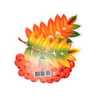 Украшение на скотче "Рябина" листья, ягоды, 18х18 см (комплект 8 шт) - фото 25276536