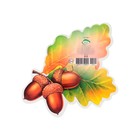 Украшение на скотче "Дуб" листья, жёлуди, 18х18 см (комплект 10 шт) - фото 25276539