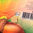 Украшение на скотче "Дуб" листья, жёлуди, 18х18 см (комплект 10 шт) - фото 25276540