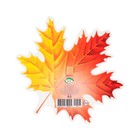 Украшение на скотче "Кленовый лист" бордовый, жёлтый, 18х18 см (комплект 10 шт) - фото 25276545