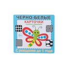 Набор карточек "Книжка-гармошка" бабочка, 17х17 см - Фото 4