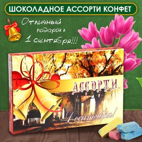 Шоколадные конфеты в коробке «1 сентября», Ассорти, 230 г