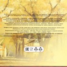 Шоколадные конфеты в коробке "1 сентября", ассорти, 230 г - фото 24702081