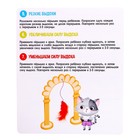 Логопедический набор «Тренируем дыхание», в пакете - фото 24480174 Логопедический набор «Тренируем дыхание», в пакете - фото 24480174