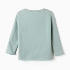 Лонгслив для девочек, цвет серо-зеленый, рост 104 см - фото 22727393