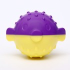 Игрушка для собак "Фугу" TPR, 9 см, фиолетовая/жёлтая - фото 7033068