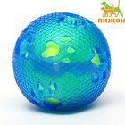 Мяч для собак "Двойное удовольствие Лапки", TPR+войлочный мяч, 7,6 см - фото 281908904
