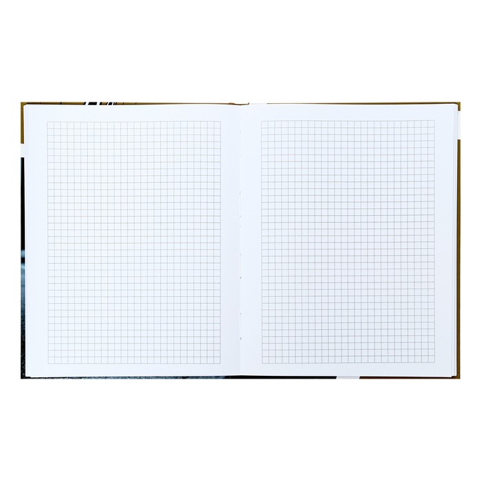 Тетрадь на пружине а5 notebook kroyter. Блокнот а4 на пружине. Блокнот а5 в клетку. Красивый ежедневник. Блокнот 'клеточка'.