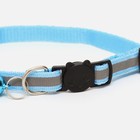 Ошейник кошачий светоотражающий, 19-32×1 см, голубой - Фото 2