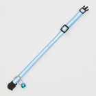 Ошейник кошачий светоотражающий, 19-32×1 см, голубой - Фото 4