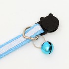 Ошейник кошачий светоотражающий, 19-32×1 см, голубой - Фото 5