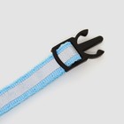 Ошейник кошачий светоотражающий, 19-32×1 см, голубой - Фото 6