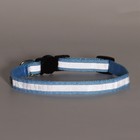 Ошейник кошачий светоотражающий, 19-32×1 см, голубой - Фото 8