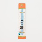 Ошейник кошачий светоотражающий, 19-32×1 см, голубой - Фото 9