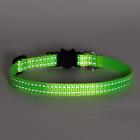 Ошейник кошачий светоотражающий, с серебряным бубенчиком, 19-32×1 см, зелёный - Фото 8