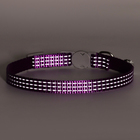 Ошейник кошачий светоотражающий, 19-32×1 см, фиолетовый - Фото 8