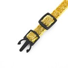 Ошейник кошачий, 19-32 х 1 см, золотой - фото 22552345