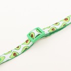 Ошейник текстильный «Авокадо» с бубенчиком и подвеской, 19-32×1 см - Фото 8