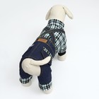 Комбинезон "Men", размер S (ДС 25 см, ОГ 35 см, ОШ 25 см), синий - Фото 3