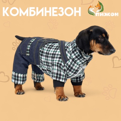 Комбинезон Men, размер L, ДС 35 см, ОГ 45 см, ОШ 35 см, синий