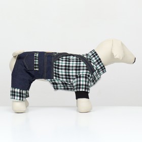 Комбинезон Men, размер L (ДС 35 см, ОГ 45 см, ОШ 35 см), синий