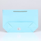 Пакет подарочный ламинированный, с лентой «Голубой», горизонтальный, 30×27.5×12 см - Фото 3