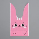 Упаковка подарочная, Мешок с ушками «Котик», 12 х 11.5 см  (артикул 9679291)  большой выбор товаров оптом и в розницу по низким ценам с доставкой