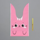 Упаковка подарочная, Мешок с ушками «Котик», 12 х 11.5 см  (артикул 9679291)  большой выбор товаров оптом и в розницу по низким ценам с доставкой