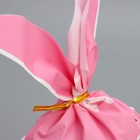 Упаковка подарочная, Мешок с ушками «Котик», 12 х 11.5 см  (артикул 9679291)  большой выбор товаров оптом и в розницу по низким ценам с доставкой