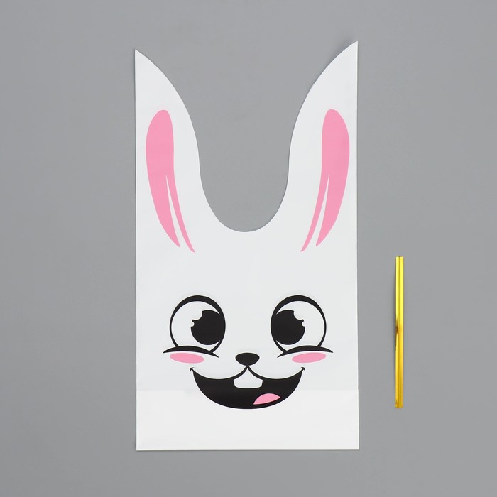 Упаковка подарочная, Мешок с ушками «Зайчишка», 12 х 11.5 см