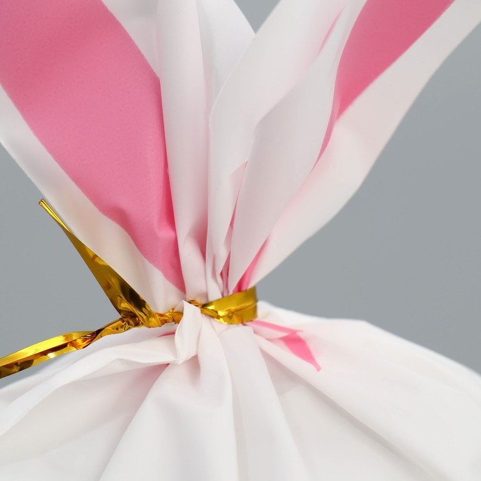 Упаковка подарочная, Мешок с ушками «Зайчишка», 12 х 11.5 см