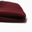 Шапка детская, цвет бордовый, размер 52-54 (комплект 2 шт) - фото 22623600