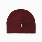 Шапка детская, цвет бордовый, размер 52-54 (комплект 2 шт) - фото 22623601