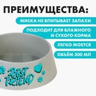Миска пластиковая «Best Friend», серая, 300 мл - фото 7155736
