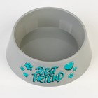 Миска пластиковая «Best Friend», серая, 300 мл - фото 7310869