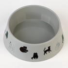 Миска пластиковая «Коты», серая, 300 мл - фото 24574970