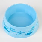Миска пластиковая «Рыбы», голубая, 300 мл - фото 7310872
