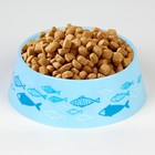 Миска пластиковая «Рыбы», голубая, 300 мл - фото 9028476