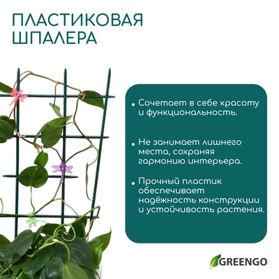 Шпалера, 48×29×0.2 см, пластик, зелёная, Greengo